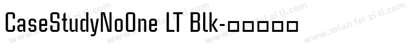 CaseStudyNoOne LT Blk字体转换